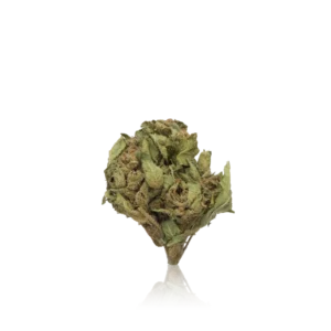 Vend 420 Flower Bulk Budget