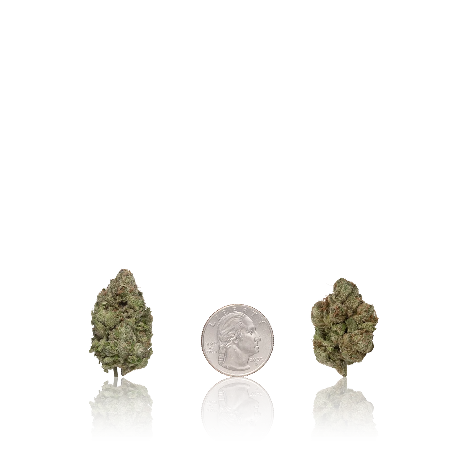 Vend 420 In-House Flower Bulk Premium