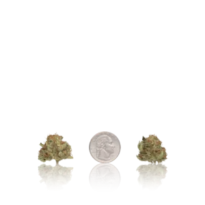 Authentic In-House Flower Untrimmed Premium Flower Smalls