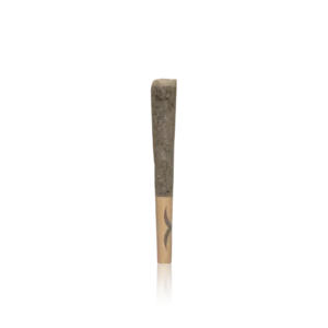 Authentic Jetty Pre-roll High THC Infused