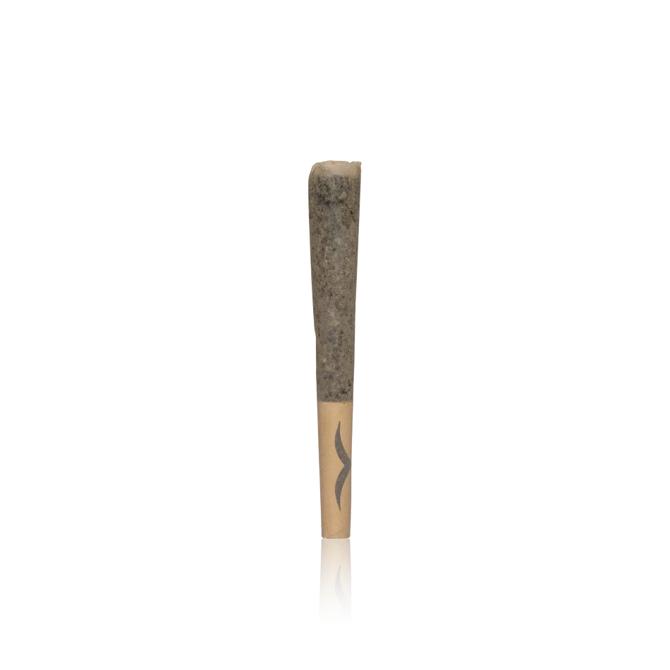 Authentic Jetty Pre-roll High THC Infused