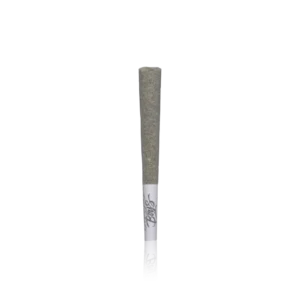 Authentic Jungle Boys Pre-roll Premium