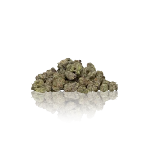 Authentic Maven Genetics Flower Premium Indoor Flower Minis