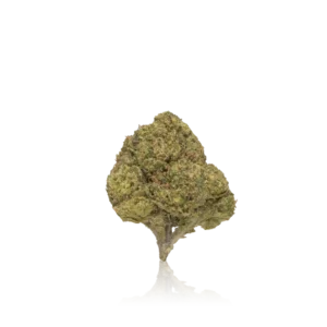 Authentic Mr. Zips Flower 1/4 Zip