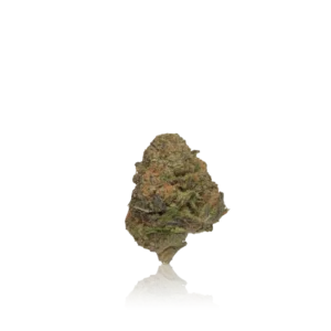 Authentic Quiet Kings Flower 14