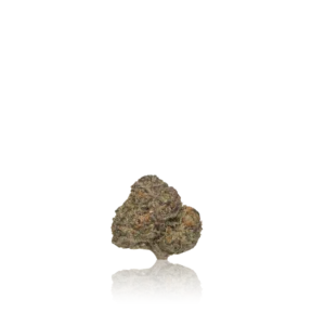 Authentic Quiet Kings Flower 28