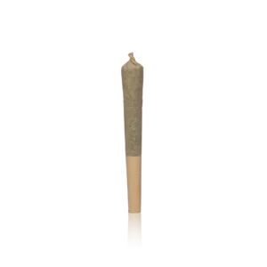 Authentic Quiet Kings Pre-roll 14 Pack Pre-Rolls