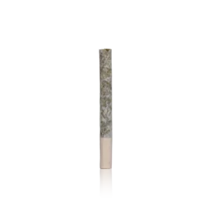 Authentic Raw Garden Pre-roll Mini Infused Joint