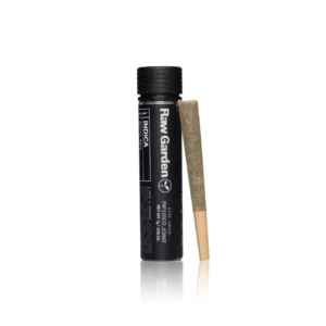 Authentic Raw Garden Pre-roll Sauce Infused Joint
