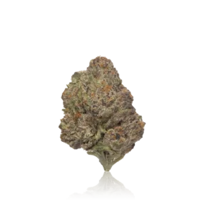 Authentic Sherbinskis Flower Premium Indoor