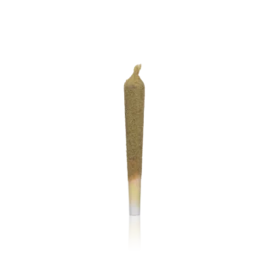 Authentic Sundae Pre-roll Infused