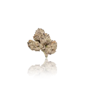 Authentic Teds Budz Flower Premium Indoor