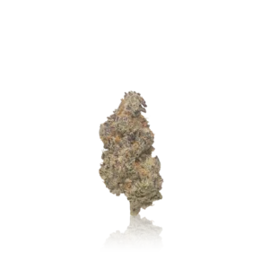 Authentic Woodstock Flower Indoor