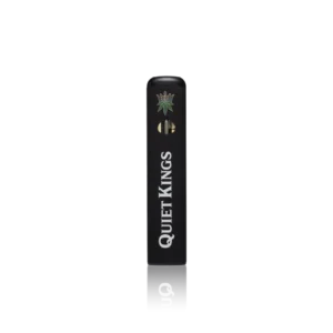 Authentic Quiet Kings Disposable All-In-One
