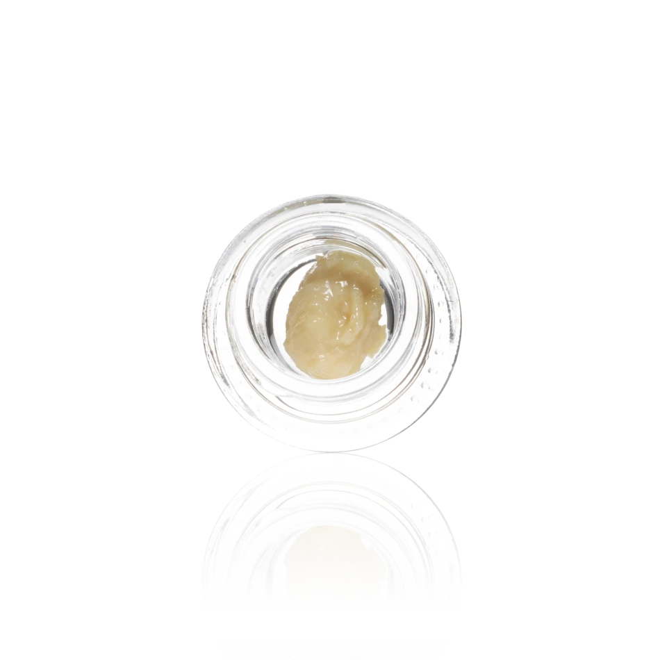 Authentic Humboldt Terp Council Concentrate Live Rosin