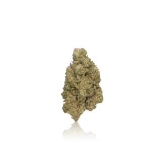 Authentic Humo Flower Premium Cannabis Jar