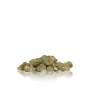 Authentic Paper Planes Flower Smalls 1/4