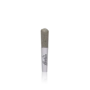 Authentic Selfies Pre-Roll 12 Infused Mini