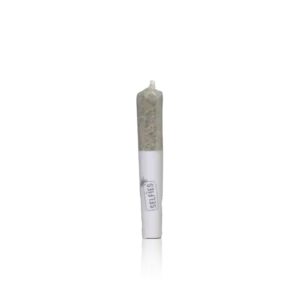 Authentic Selfies Pre-roll 12 Mini Prerolls