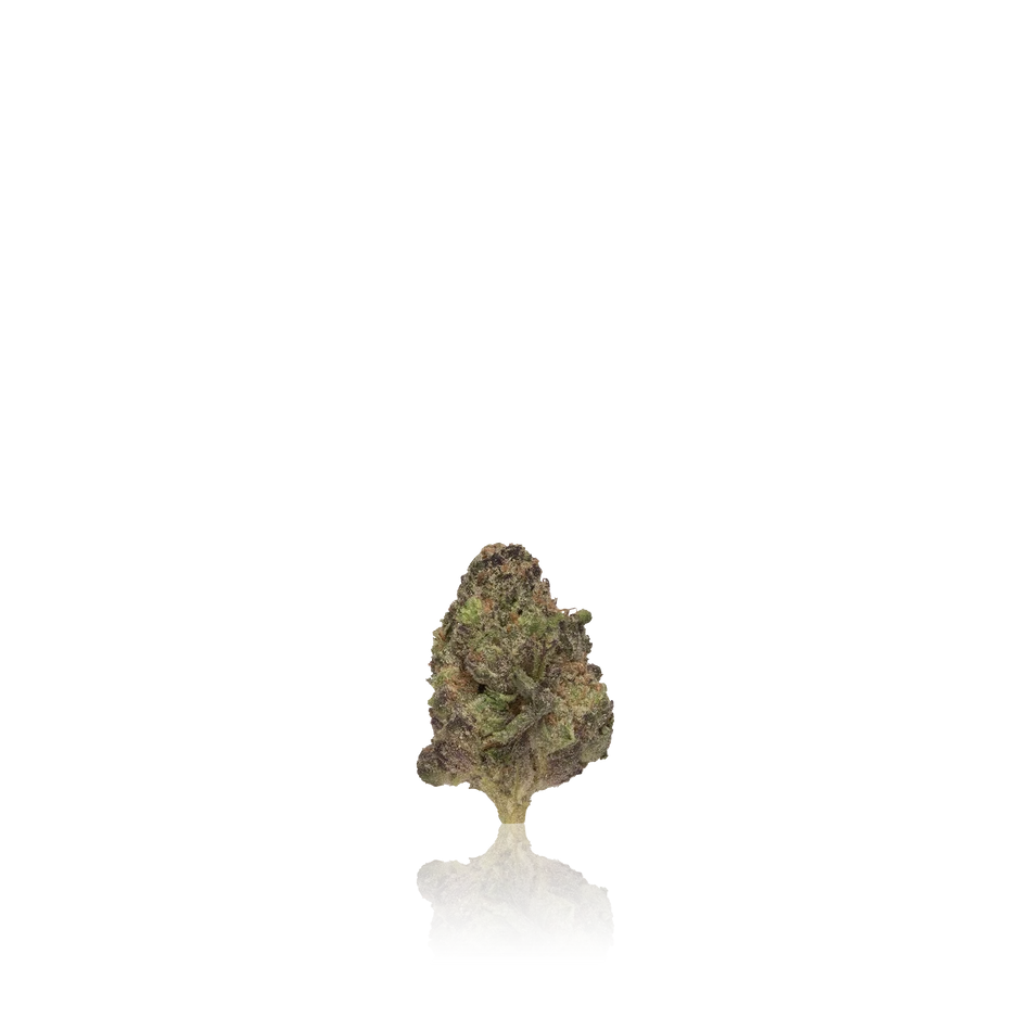 Authentic Xotic Flavorz Cart Flower - Image 2