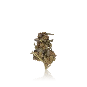 Vend 420 Bulk Budget
