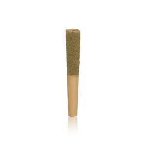 Authentic Almora Artisan Infused Pre-Roll 5PK