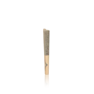 Authentic Jetty Live Resin Infused Pre-Rolls Pack