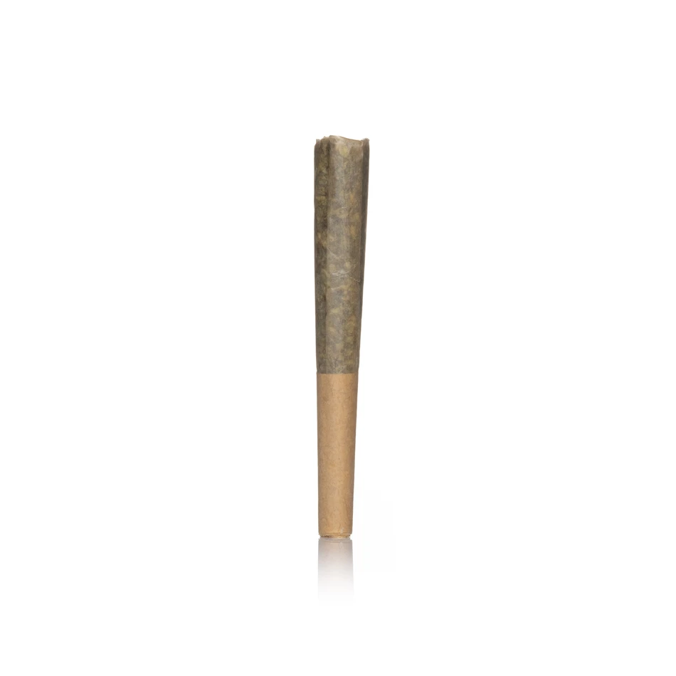 Authentic Jetty Live Rosin Pre-Roll Minis 5PK - Image 4