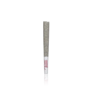 Authentic Tutti Infused Preroll