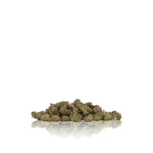 Authentic Humo Humitos Small Bud Premium 1/4
