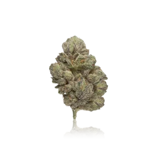 Authentic Official Gooniez Exotic Flower