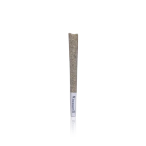 Authentic Paper Planes Premium Infused Pre-Roll