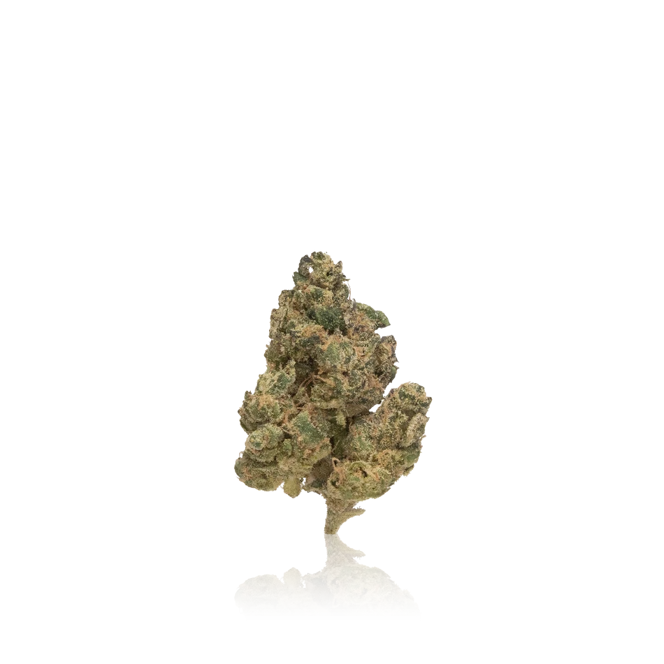 Authentic Seed Junky Premium Indoor Flower