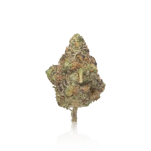 Authentic Quiet Kings Quality Cannabis Flower 7G