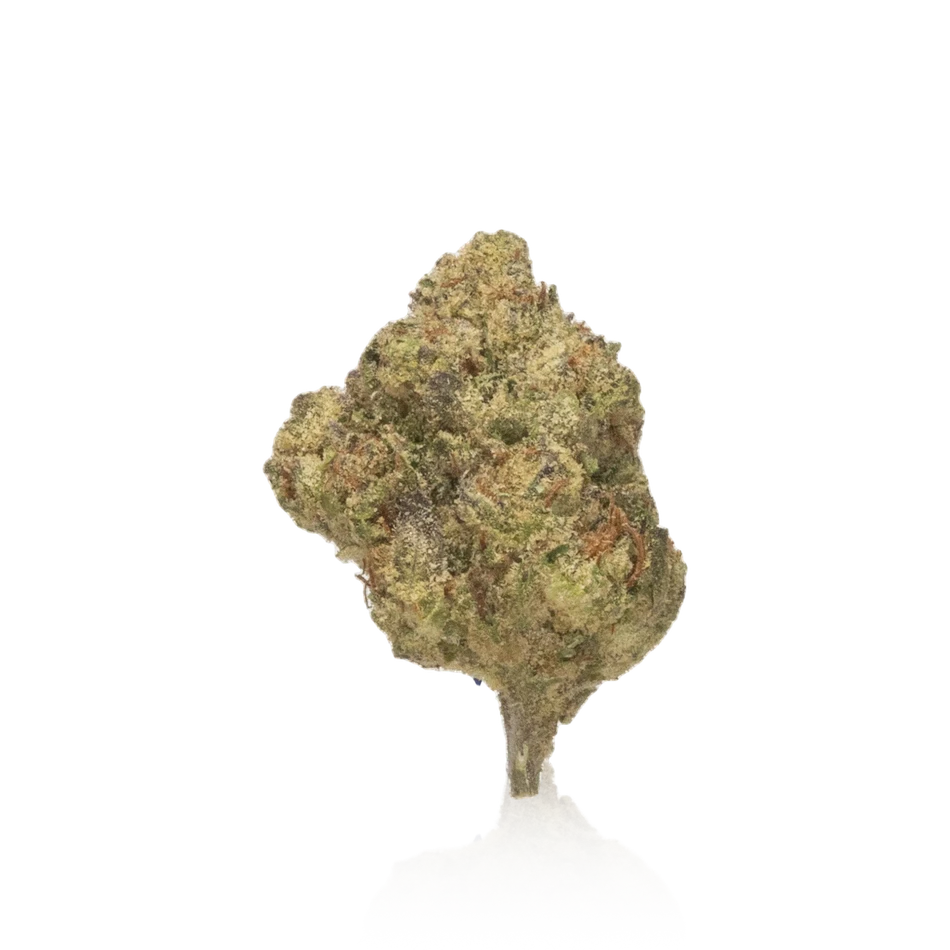 Authentic Sundaze Big Buds-Half Ounce